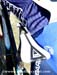 2012 MTB World Championships