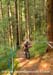 2012 MTB World Championships