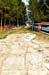 2012 MTB World Championships