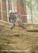 2012 MTB World Championships
