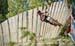 2012 MTB World Championships
