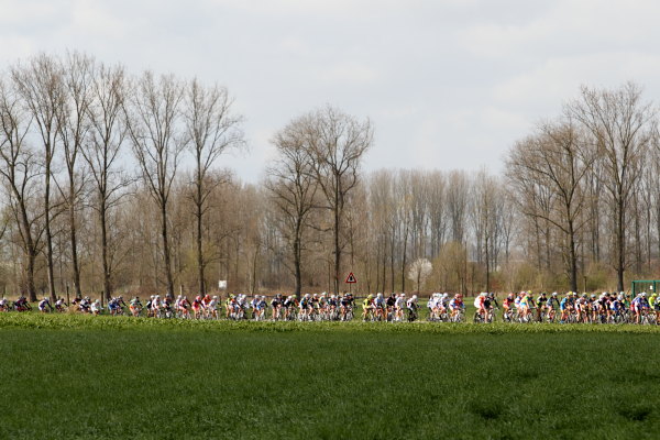 flanders