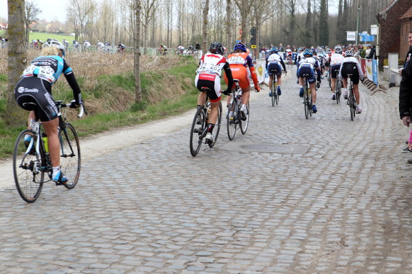 flanders
