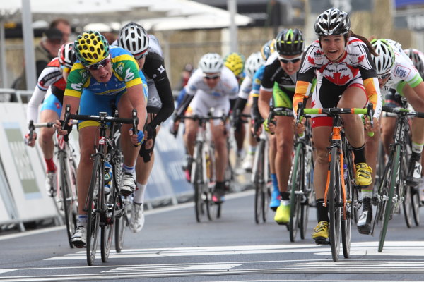 flanders