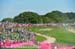 2012 Olympic Games