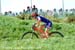2012 Olympic Games