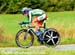 Road World Championships