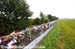 Road World Championships