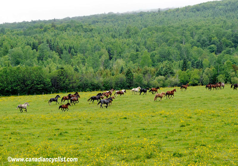 Tour de Beauce