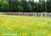 Tour de Beauce