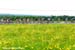 Tour de Beauce