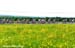 Tour de Beauce