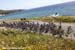 2012 Tour of Turkey