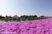 2012 Tour of Turkey