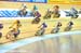 2012 Track World Championships, Melbourne