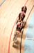 2012 Track World Championships, Melbourne