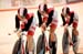 2012 UCI Track World Championships