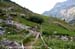 singletrail