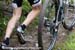 Flueckiger_Mathias_chainless