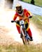 Windham World Cup