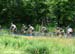 Windham World Cup