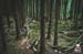 BCbikerace