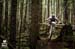 BCbikerace