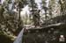 BCbikerace