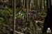 BCbikerace
