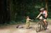 BCbikerace