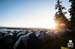 BCbikerace
