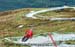 Fort William DH World Cup #1