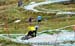 Fort William DH World Cup #1