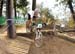 MTB World Championships, Pietermaritzburg