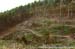 MTB World Championships, Pietermaritzburg