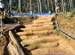 MTB World Championships, Pietermaritzburg
