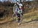 ON Cross Provincials