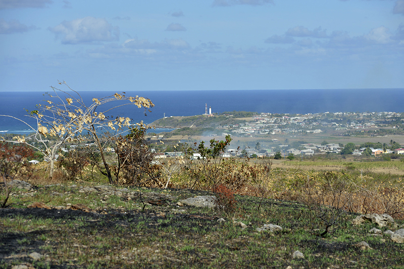 barbados
