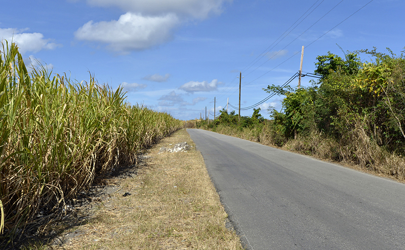 barbados