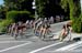 Tour de Delta