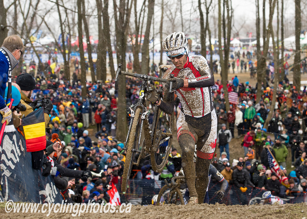 cxworlds