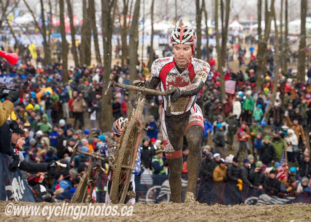 cxworlds