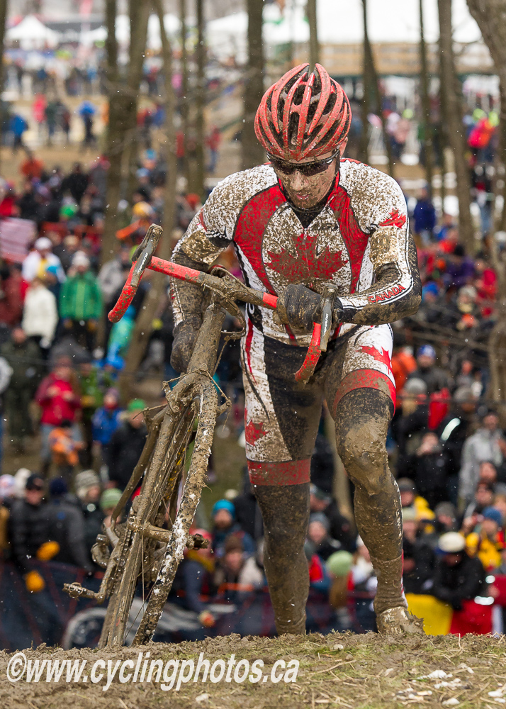 cxworlds
