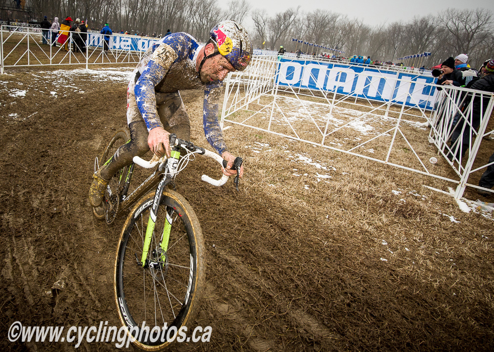cxworlds