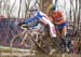 cxworlds