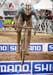 cxworlds