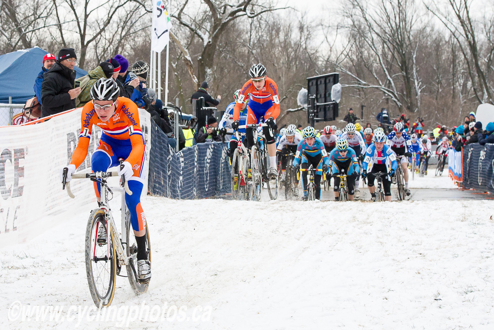 cxworlds