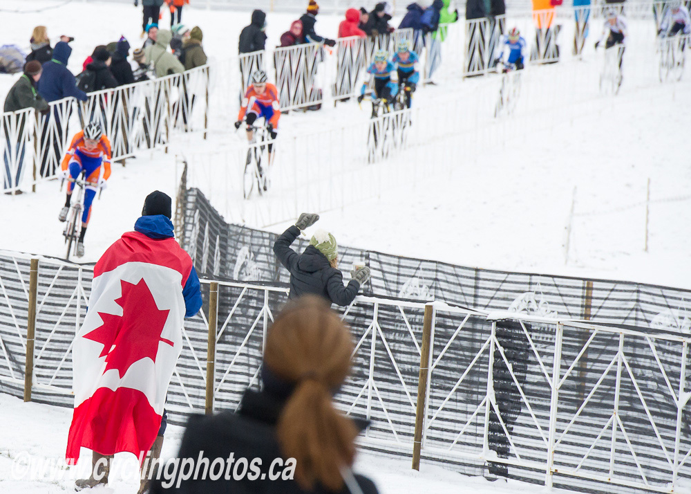 cxworlds