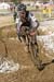 cxworlds