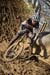 cxworlds